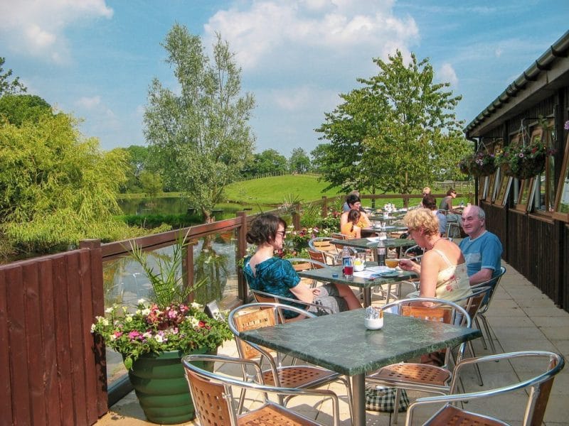 People dining outdoors at the Lakeside Café at Cotebrook Shire Horse Centre, seated at tables on a patio overlooking a tranquil pond surrounded by lush greenery and flowers on a sunny day.